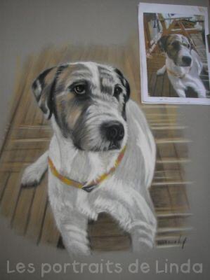 Portraits pastel d'après photos Dog
