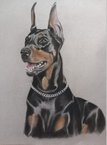 doberman