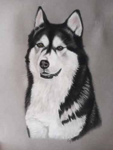 husky